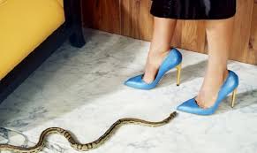 Sizde içinde taraklı ayak kelimesi geçen bir şeyler paylaşın ! Tarakli Ayaklar Icin Ayakkabi Secimi