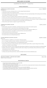 Corporate Planning Resume Sample Mintresume