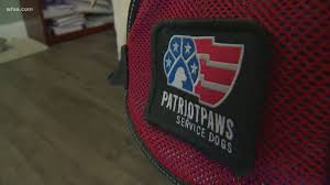 The animal can be no those traveling with emotional support animals must present current documentation, prior to. American Airlines Makes Plea To Restrict Emotional Support Animals Wfaa Com