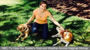 Maybe you would like to learn more about one of these? Adopt A Pet On Clear The Shelters Day Face Foundation