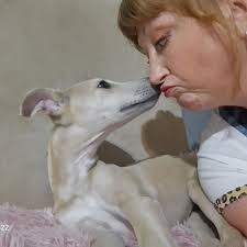 Justine Barton (@bluewhippetways) • Instagram photos and videos