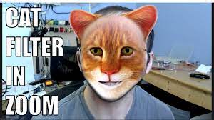 How To Get A Cat Filter In Zoom Youtube