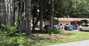 Dania Street property cleaned up