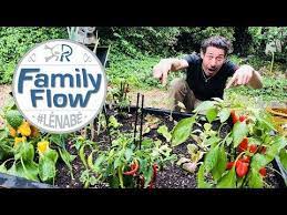 mini potager facile youtube en 2020 potager facile mini potager potager
