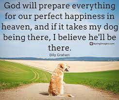 Dog Love Quotes On Unconditional Love And Belly Rubs Sayingimages Com