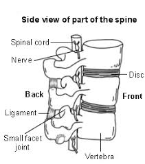 Neck Pain Relief Exercises Cervical Spondylosis Com