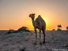 A unit of length equal to 1760 yards. Big Africa Cycle