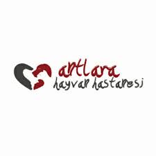Antlara Hayvan Hastanesi Home Facebook