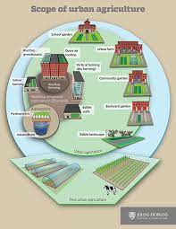 Generation 2030 Growing Greener Cities Urban Agriculture And The Impact On Sdg 11 Sdg Knowledge Hub Iisd