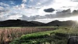 Banyak orang yang mengartikan chord itu ada kunci. Chords For Pulanglah Bansi Instrumental Cover