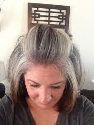 9 Months Going Grey Naturally Long Gray Hair Transition To Gray Hair Going Gray