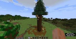 Sunflower plains (5% chance of spawning per tree) ; Mc 159734 Bee Nests Can Generate On Any Trees Instead Of Just Oak And Birch Jira