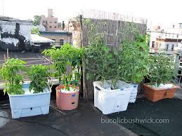 Growing Tips For Rooftop Vegetable Gardening Backyard Garden Diy Backyard Garden Design Backyard Garden Landscape