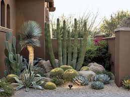 Kaktus Garten Landschaftsbau 50 Fabelhafte Side Yard Garden Design Ideen Und U Cact In 2020 Cactus Garden Landscaping Desert Backyard Succulent Landscape Design
