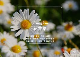 HanaPrime（ハナプライム）