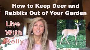 You can purchase hot pepper spray or make your own. How To Keep Deer And Rabbits Out Of Your Garden Youtube