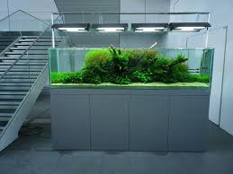 Ada Nature Aquarium Nature Aquarium Aquascape Aquarium Aquarium Design