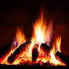Our business has three generations working to provide you with all of your firewood needs. 3