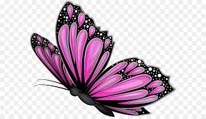 black and white flower png download 8000 6390 free transparent butterfly png download cleanpng kisspng black and white flower png download