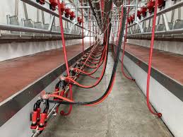 Pearson celebrates 75 years in business at Ploughing 2023