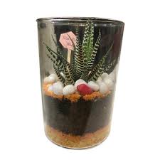 Some parts can be saved and it could grow again but it's barely possible. For Home Decore Less Water Zebra Haworthia Plant In Glass Jar For Could Be Used With Invitation Rs 950 Piece Id 22371708012