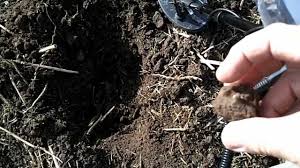 Minelab x terra 705 gold pack is a metal detector a bit more adapted to gold nuggets search due to its features. Minelab X Terra 705 Gold Pack Metal Detector Review Cutaplug