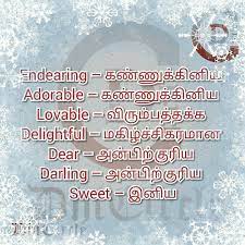 Learn English Vocabulary With Tamil Meaning Learn English Vocabulary English Words English Vocabulary