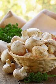 Descrizione, come riconoscerli e dove si trovano. Devo Pulire I Funghi Prima Della Cottura E Prima Del Congelamento E Come Farlo Nel Modo Giusto Consigli Per Cucinare
