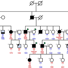 Pedigree Of The Family Showing Diabetes Status Of Each