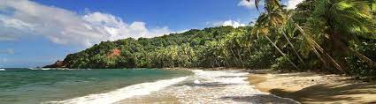 In der sprache der karibischen indigenen bevölkerung wurde die insel wegen ihres gebirgigen geländeprofils ouaitocoubouli genannt (in anderer transkription wai'tukubuli, deutsch. Dominica In Der Karibik Das Zauberhafte Inselparadies Urlaubsguru