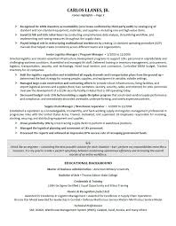 executive resume samples professional