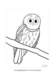 Perhaps it's because they're the cutest birds of prey; Owl Coloring Pages Free Birds Coloring Pages Kidadl