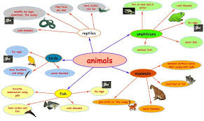 Vocabulary Learning With Mind Maps And Games Mind Map Mind Map Examples Map