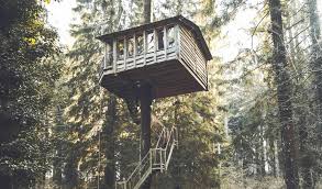 Check spelling or type a new query. Tuto Apprendre A Construire Une Cabane Suspendue Dans Un Arbre