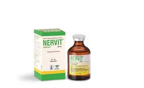 Nervit Kompoze Vitamin Mineral Aminoasit Vetrehberi