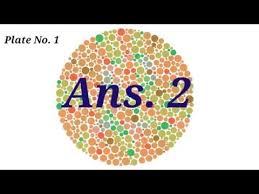 Videos Matching Color Blindness Test Issb Test Green
