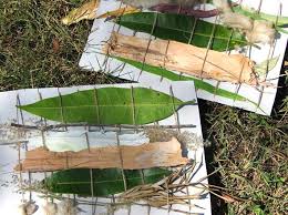 Get the tutorial at country living ». Kids Art 20 Ways To Get Arty Outdoors Outdoor Art Sensory Art Art For Kids