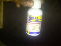 Bed Bug - Sniper Services - Affordable Licensed Pest Control Services - Tx