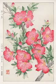 Azalea From Shodo Kawarazaki Spring Flower Japanese Woodblock Prints Japanese Woodblock Printing Flower Illustration Flower Art
