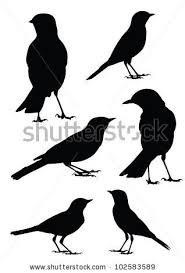 Birds Silhouette 6 Different Vector Illustrations Kus Siluet Hayvan Silueti Illustratorler