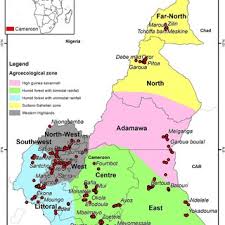 Chad clovis & india summer. Pesticide Application Frequency To Control S Frugiperda On Maize By Download Scientific Diagram