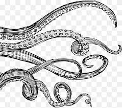 Octopus Tentacles Png Images Pngwing Just one of millions of high quality products available. octopus tentacles png images pngwing