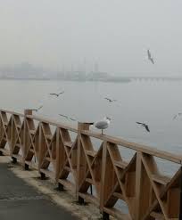 Aliye Nur Adli Kullanicinin Buse Panosundaki Pin 2020 Fotograf Makineleri Fotograf