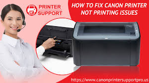 2pl ink droplets, 4800 x 1200dpi resolution and chromalife 100+ ensure crisp,. How To Fix Canon Printer Not Printing Issues Printer Support
