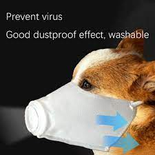 National hazing prevention week (nhpw). Pet Dog Dust And Antibacterial Mask Anti Haze Outdoor Travel Supplies Prevent Virus Washable Mask Buy From 2 On Joom E Commerce Platform