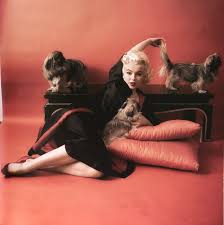 Full Better Quality Made By Forever Marilyn Kreations Milton Greene Marilyn Marilyn Monroe