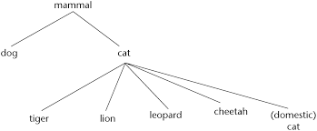 A kitchen tool with a handle on one end and a part shaped like a ball made of wire or made of any other material with a lot of wholes in it at the other, used for separating solids from liquids. Dictionary The Cambridge Dictionary Of Linguistics