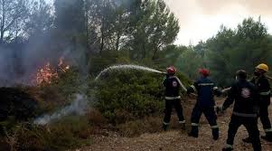 Φωτιά πυρκαγιά κερατέα πυροσβεστική υπηρεσία. Css5ovosqxtjym