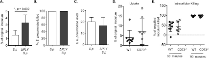 Looking for online definition of pmn or what pmn stands for? Extracellular Adenosine Enhances The Ability Of Pmns To Kill Streptococcus Pneumoniae By Inhibiting Il 10 Production Biorxiv