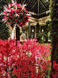 Lady In Red Garden In The Woods Beautiful Christmas Trees Longwood Gardens Christmas